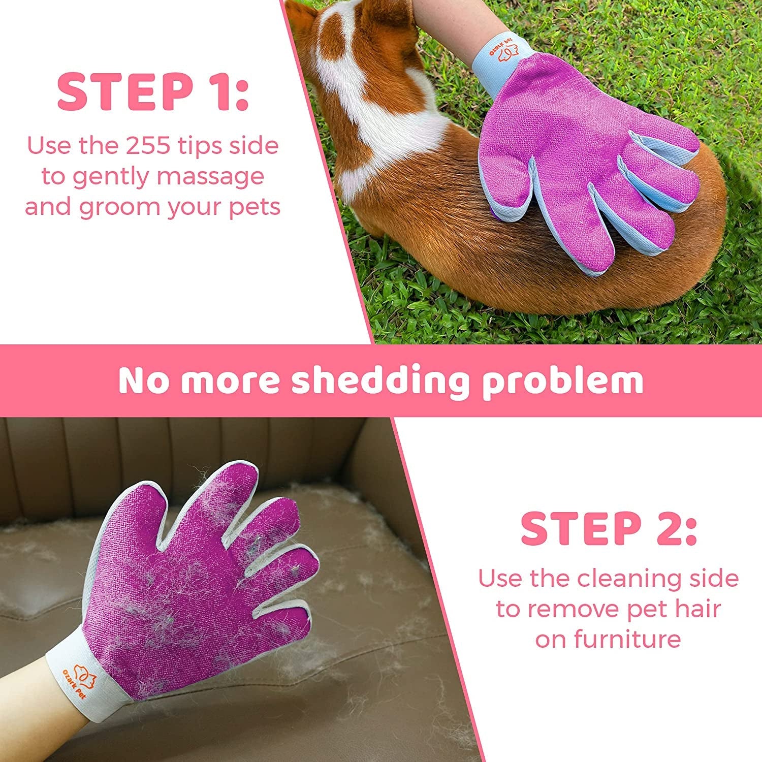 Pet Grooming Kit-4